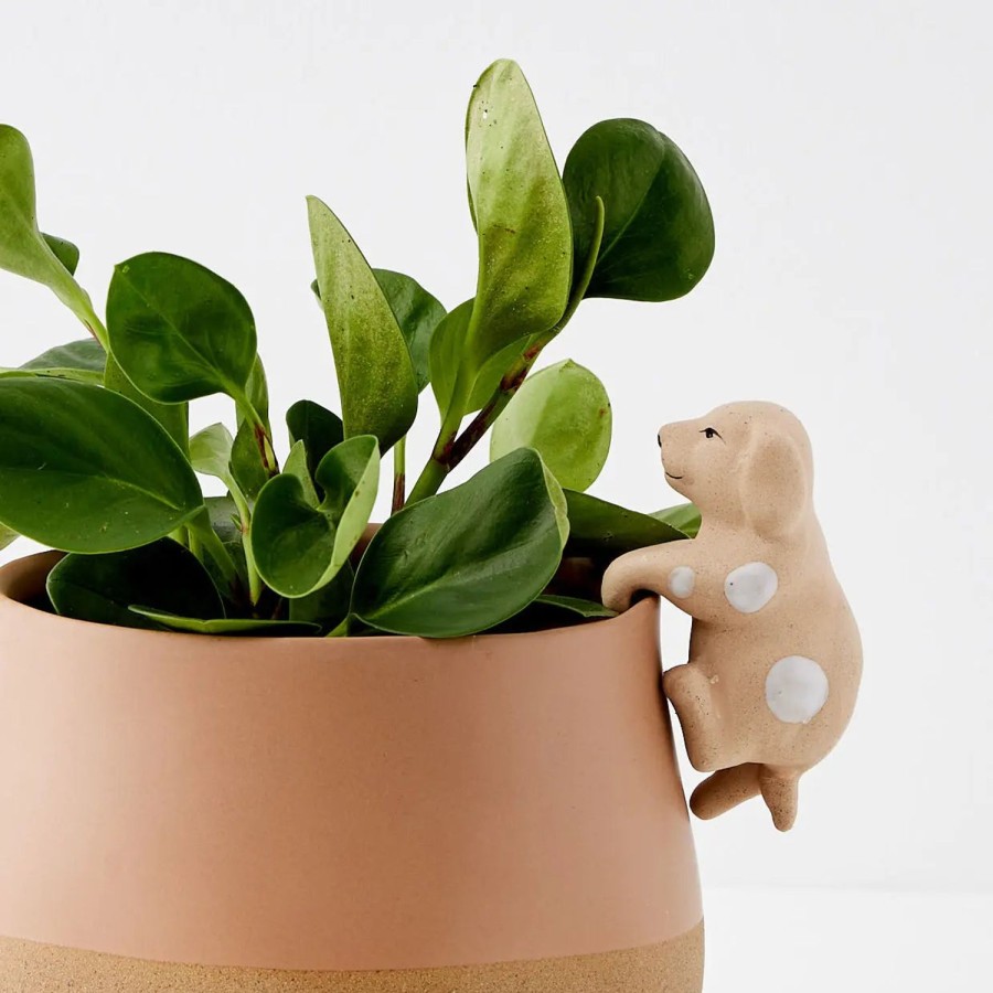 GigiandTom Barking Barry Ceramic Pot Hanger | Planters