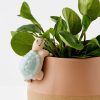 GigiandTom Timmy Turtle Ceramic Pot Hanger | Planters